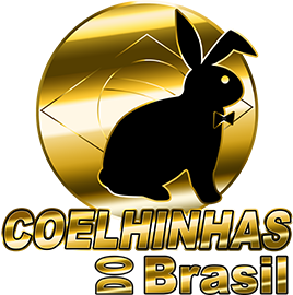 Logomarca - acompanhantes garota de programa Natal COELHINHAS DO BRASIL